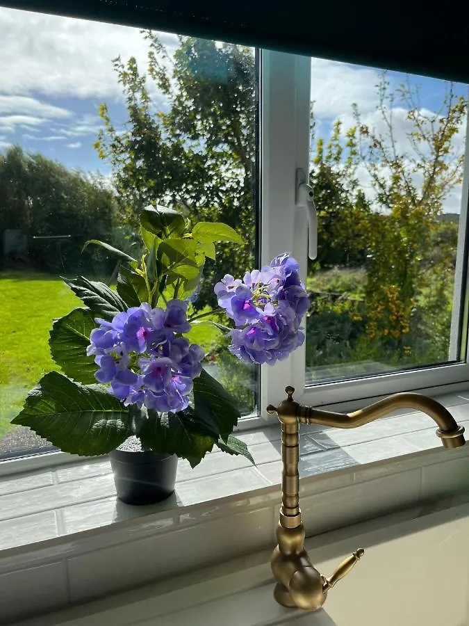 Apartment Butterfly Guesthouse - Entire Home Within 5Km Of Galway City Ireland