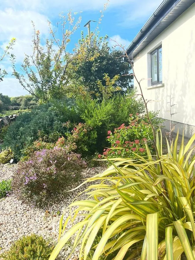 Butterfly Guesthouse - Entire Home Within 5Km Of Galway City 0*,
