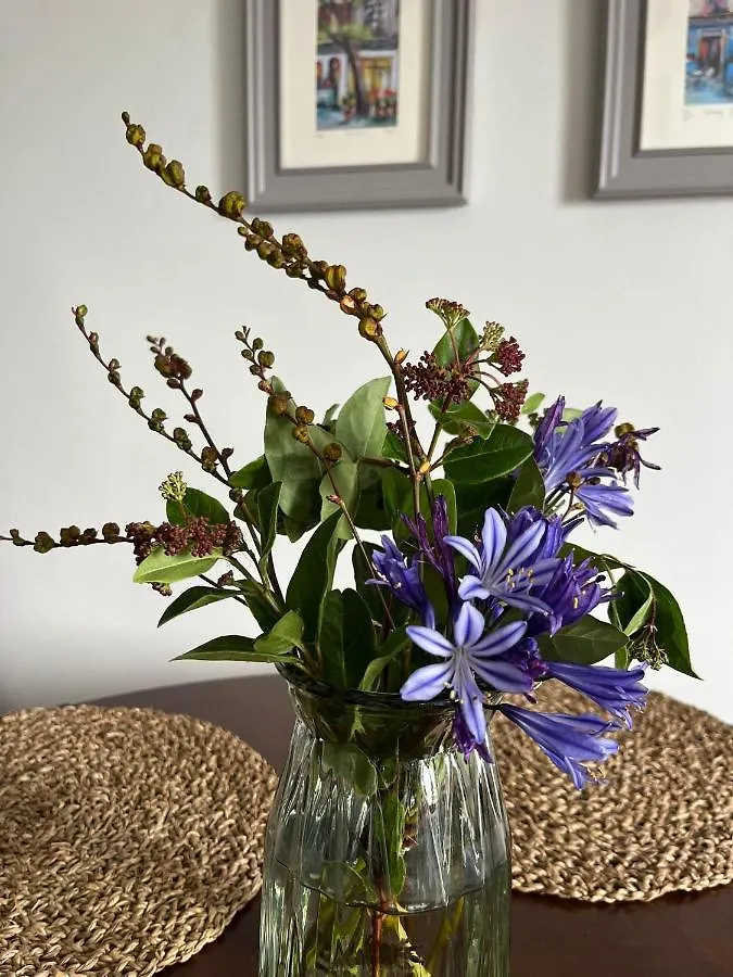 Apartamento Butterfly Guesthouse - Entire Home Within 5Km Of Galway City