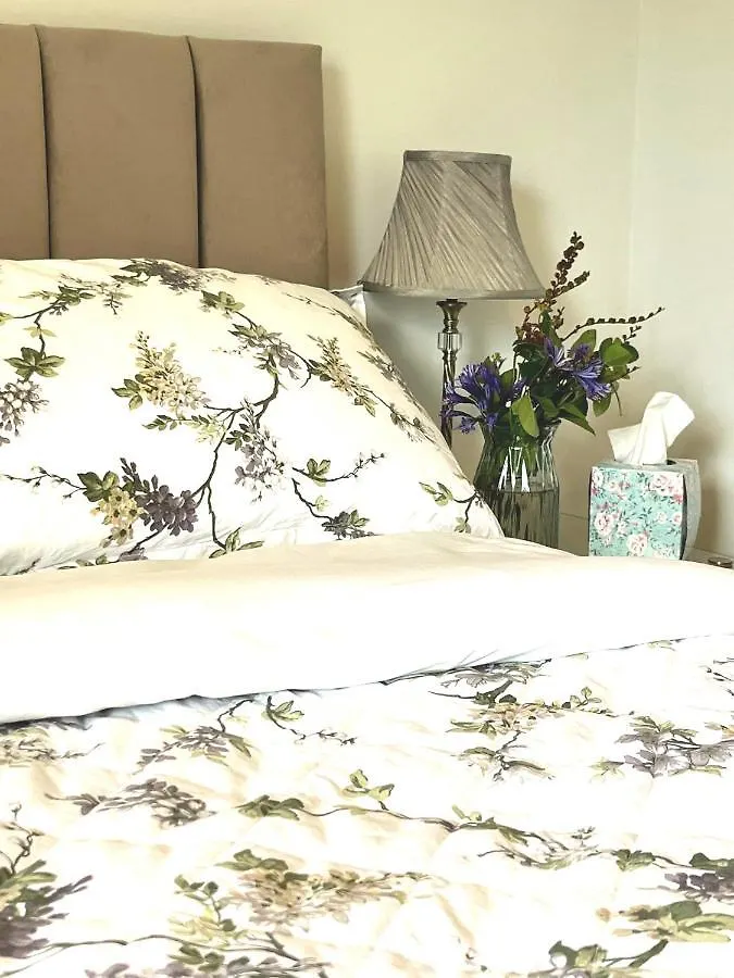 Butterfly Guesthouse - Entire Home Within 5Km Of Galway City Apartamento