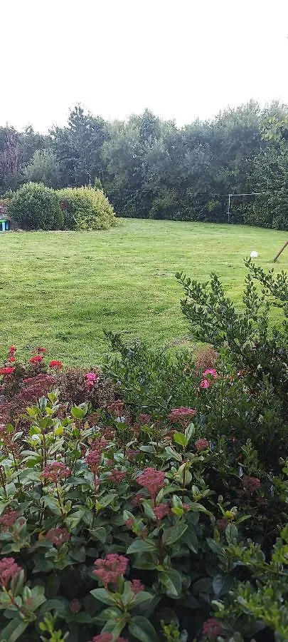 Butterfly Guesthouse - Entire Home Within 5Km Of Galway City 0*,  Irlanda